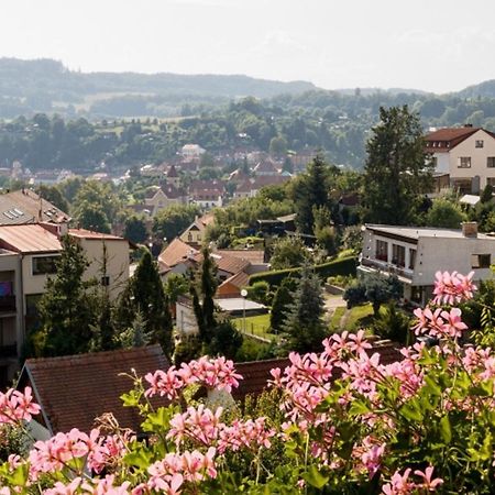 Element Bed and Breakfast Český Krumlov Buitenkant foto